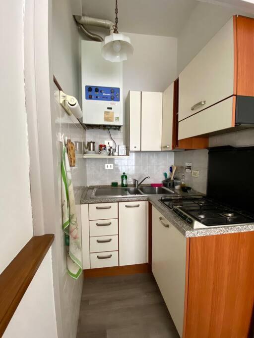 Via Delle Ghiacciaie House Lejlighed Firenze Eksteriør billede